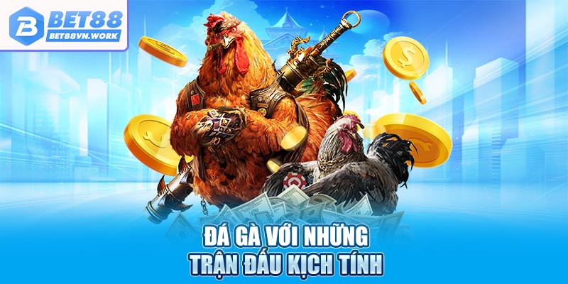 Đá gà với những trận đấu kịch tính