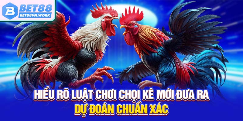 Hiểu rõ luật chơi chọi kê mới đưa ra dự đoán chuẩn xác