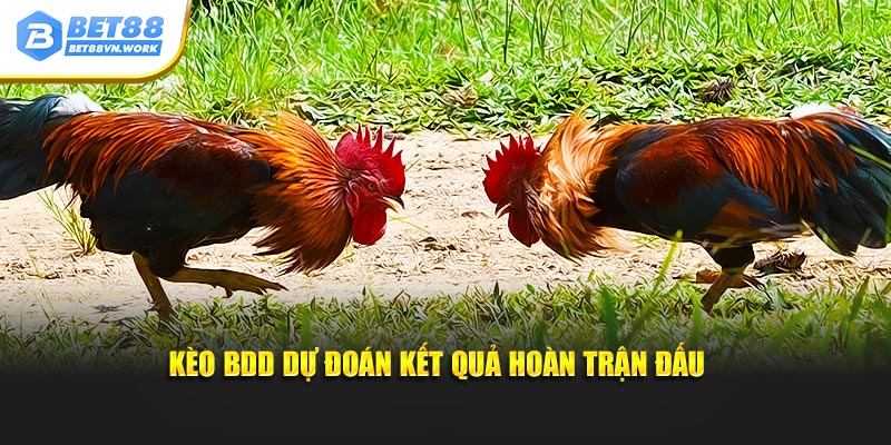 Kèo BDD dự đoán kết quả hoàn trận đấu 