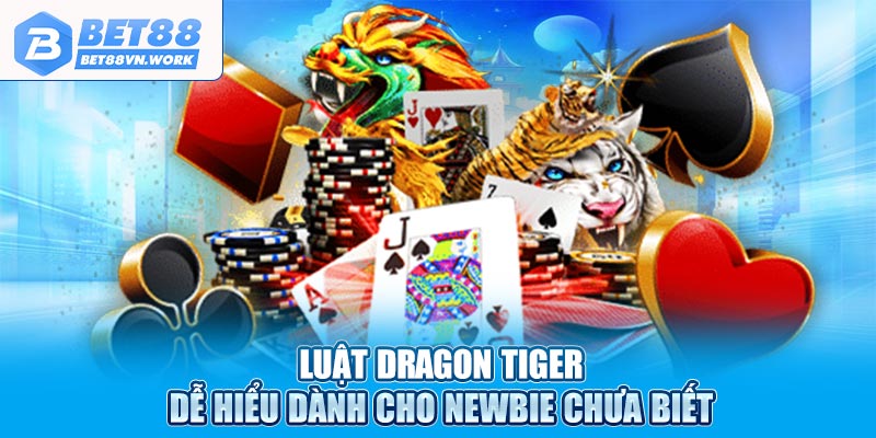 Luật Dragon Tiger dễ hiểu dành cho newbie chưa biết