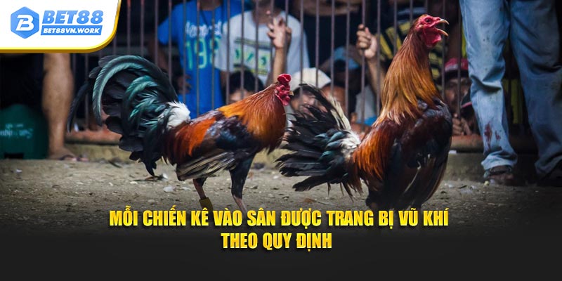 Mỗi chiến kê vào sân được trang bị vũ khí theo quy định 