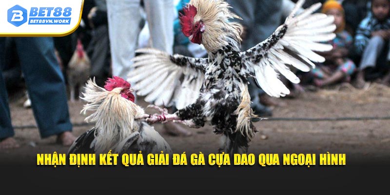 Nhận định kết quả giải đá gà cựa dao qua ngoại hình 