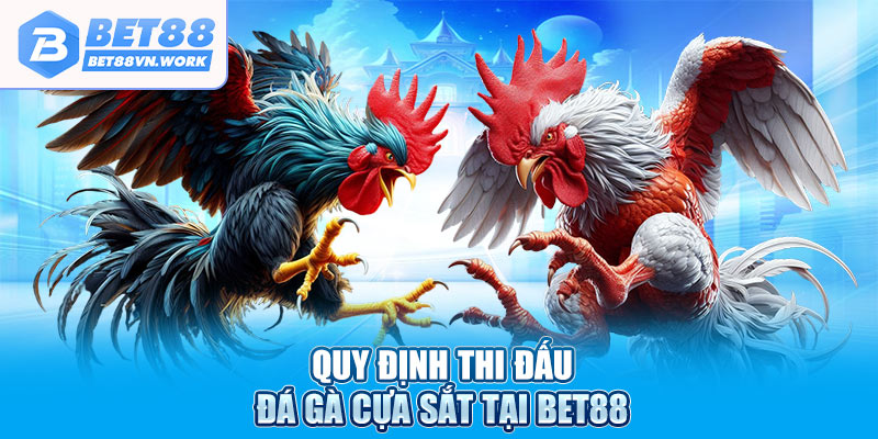 Quy định thi đấu đá gà cựa sắt tại Bet88
