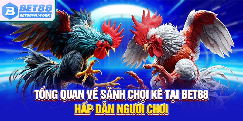 Tổng quan về sảnh đá gà bet88 hấp dẫn người chơi