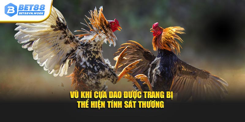 Vũ khí cựa dao được trang bị thể hiện tính sát thương 
